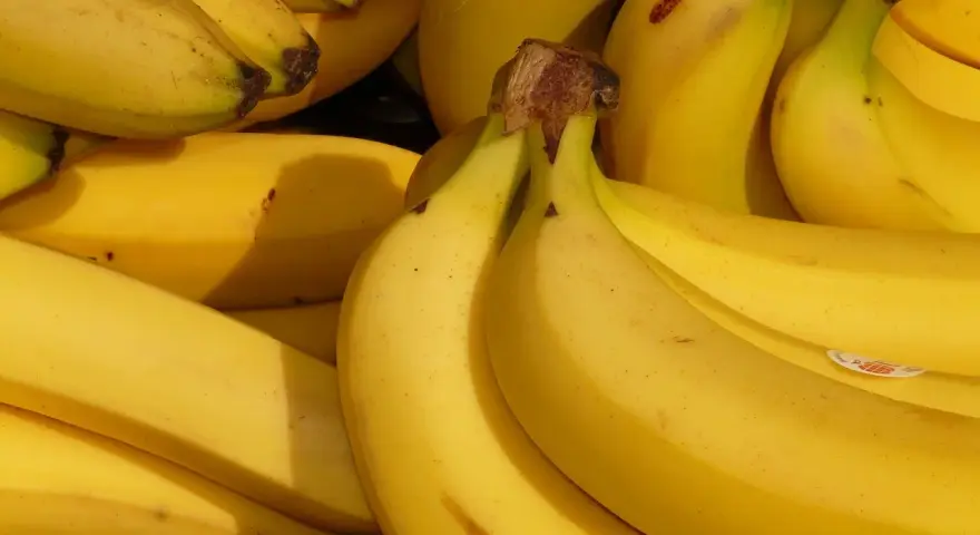 Gdzie rosną banany? Odkryj kraje i inspiracje podróżnicze